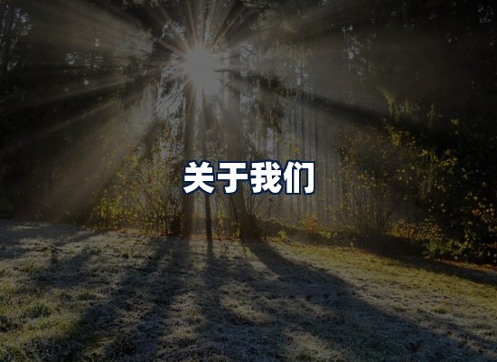 关于我们